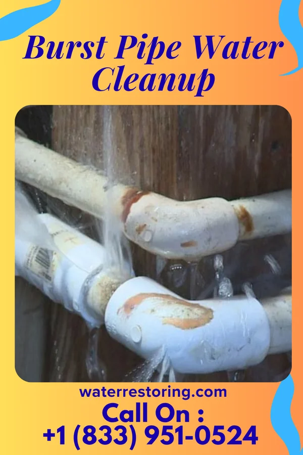 Burst Pipe Water Cleanup in Sacaton Flats Village, AZ